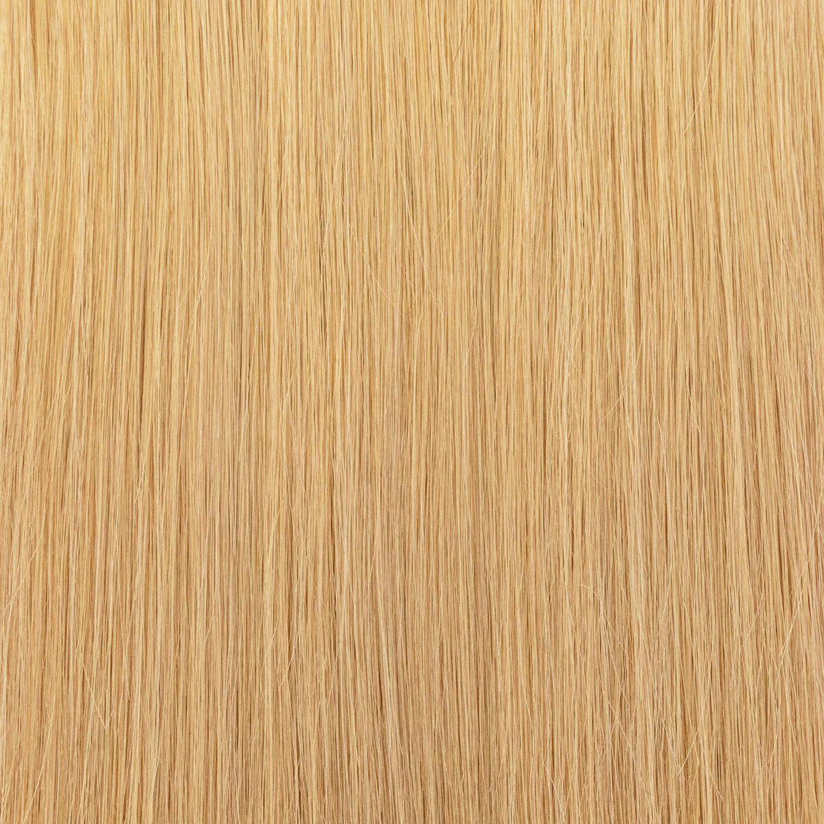 Fill-in Extensions - Image 18