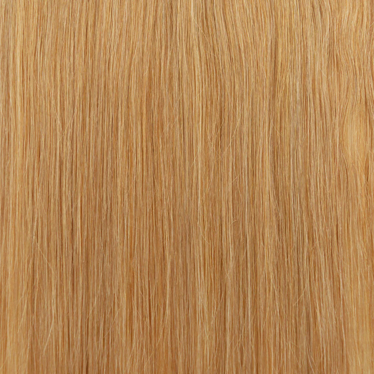 Fill-in Extensions - Image 24
