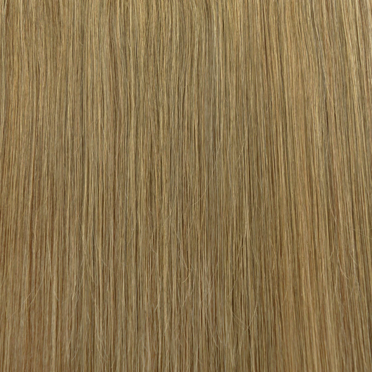 Fill-in Extensions - Image 31