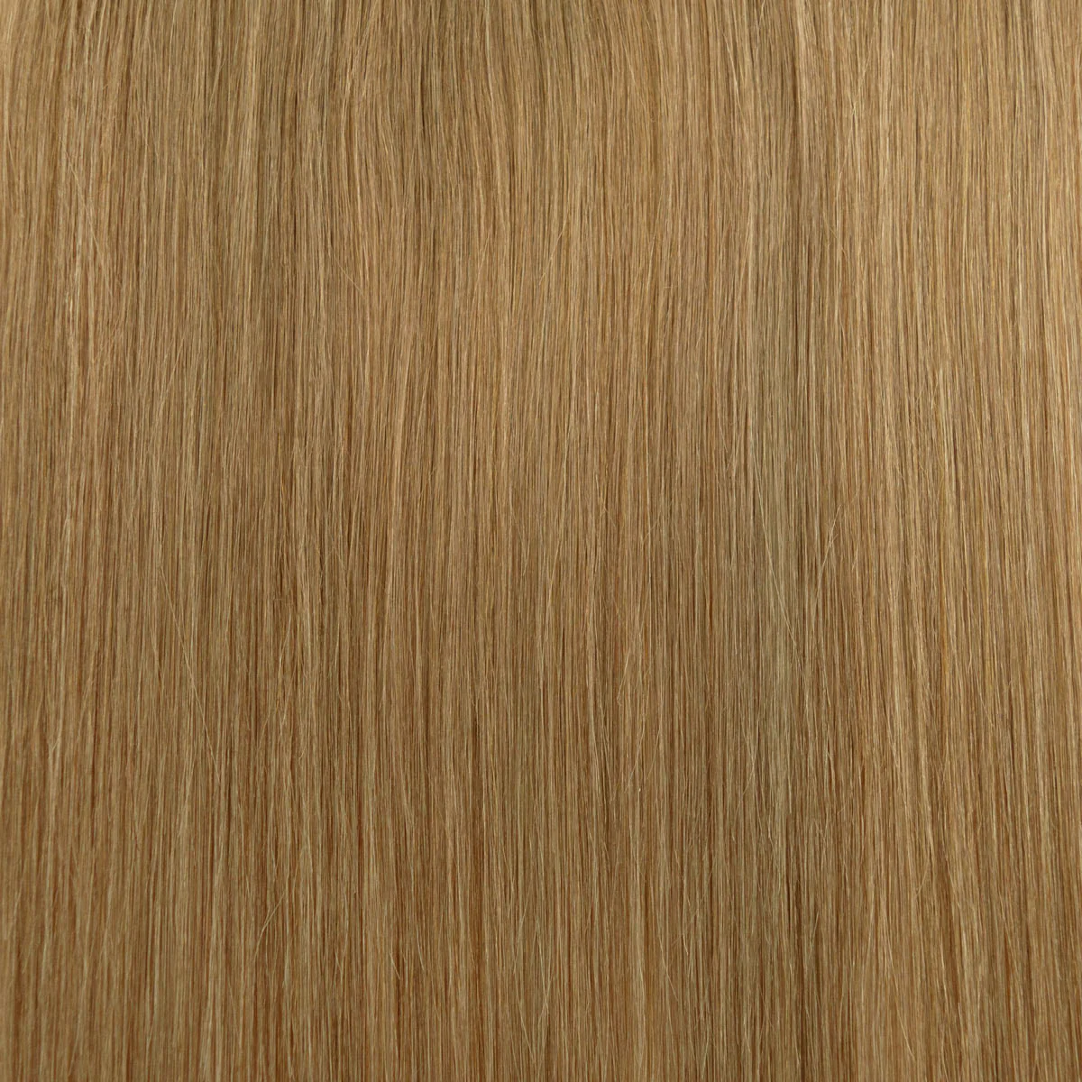 Fill-in Extensions - Image 38
