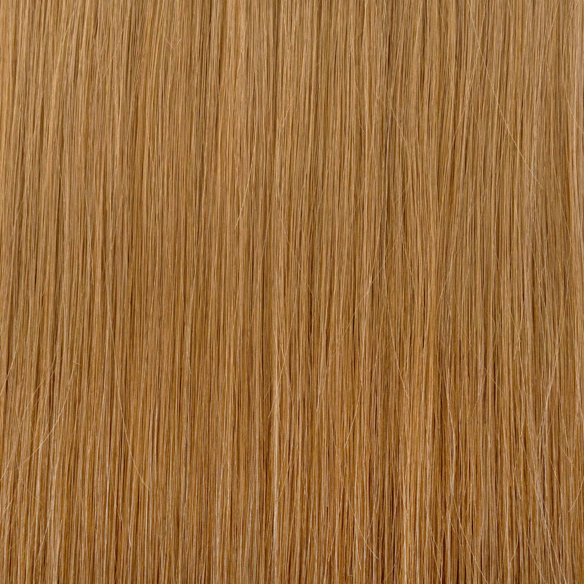 Fill-in Extensions - Image 3