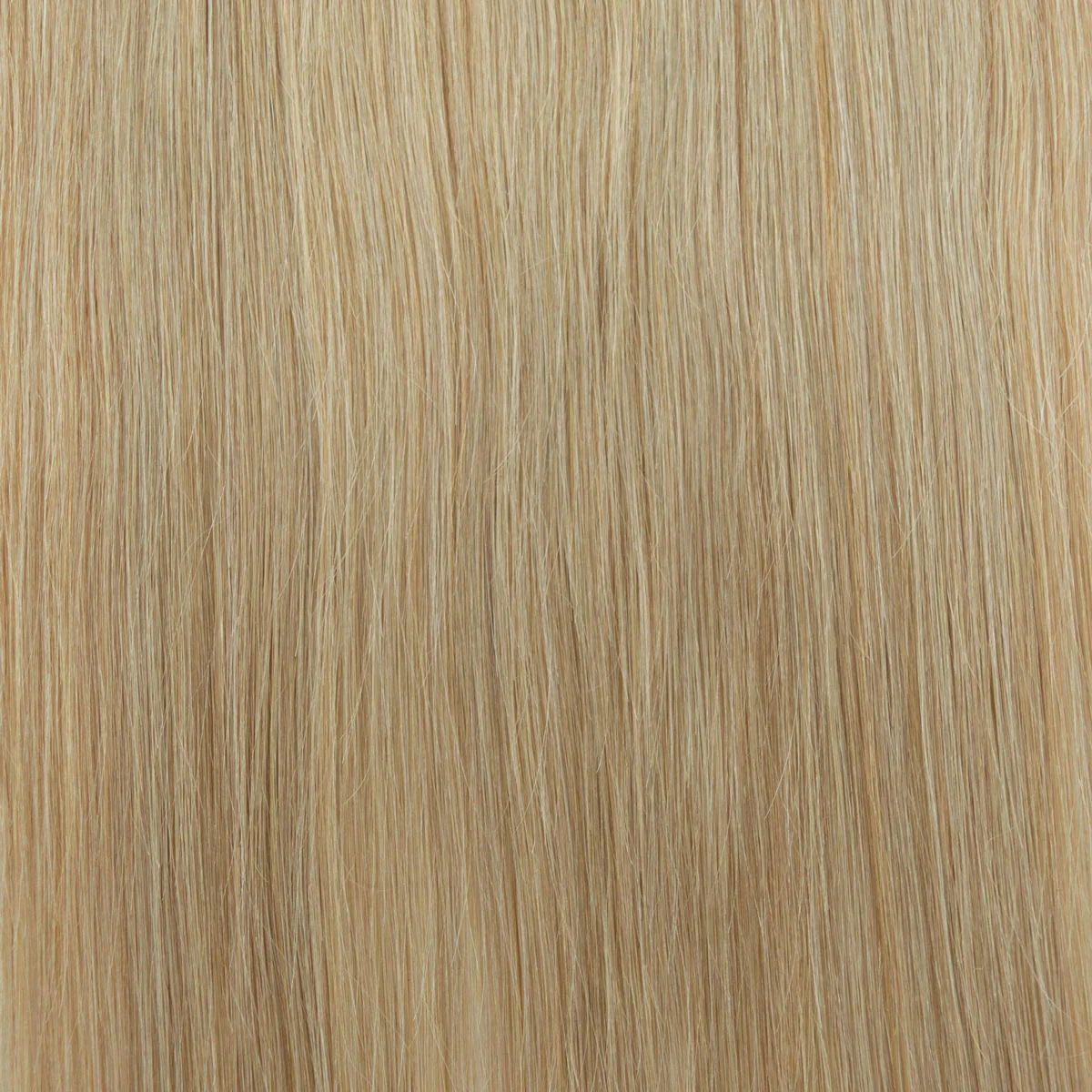 Fill-in Extensions - Image 63