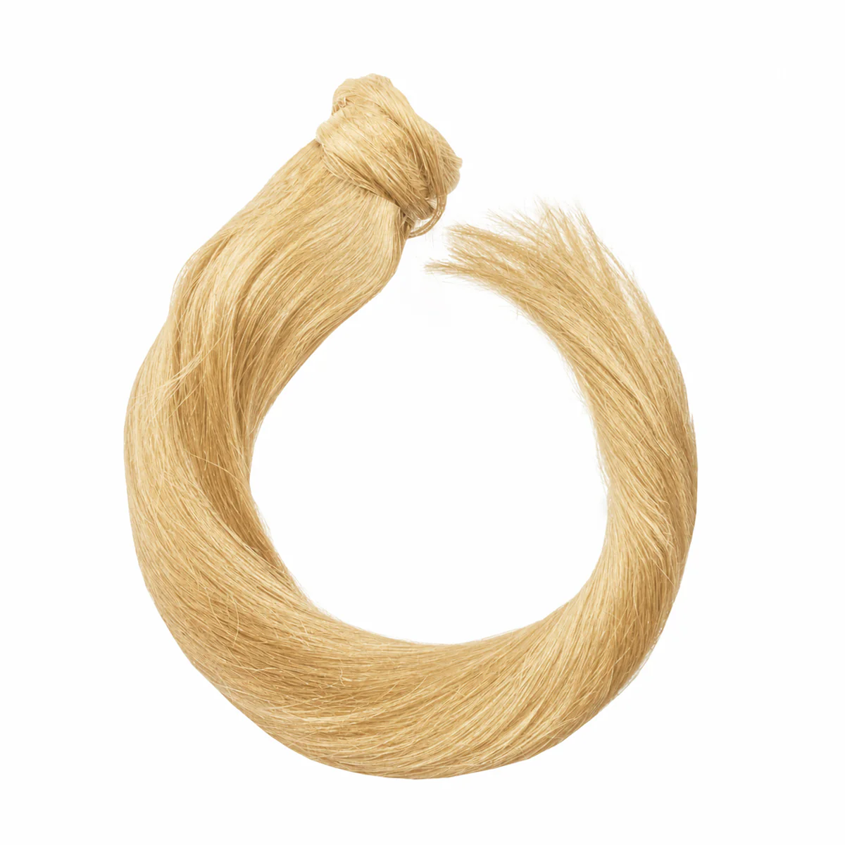 Ponytail - Image 11