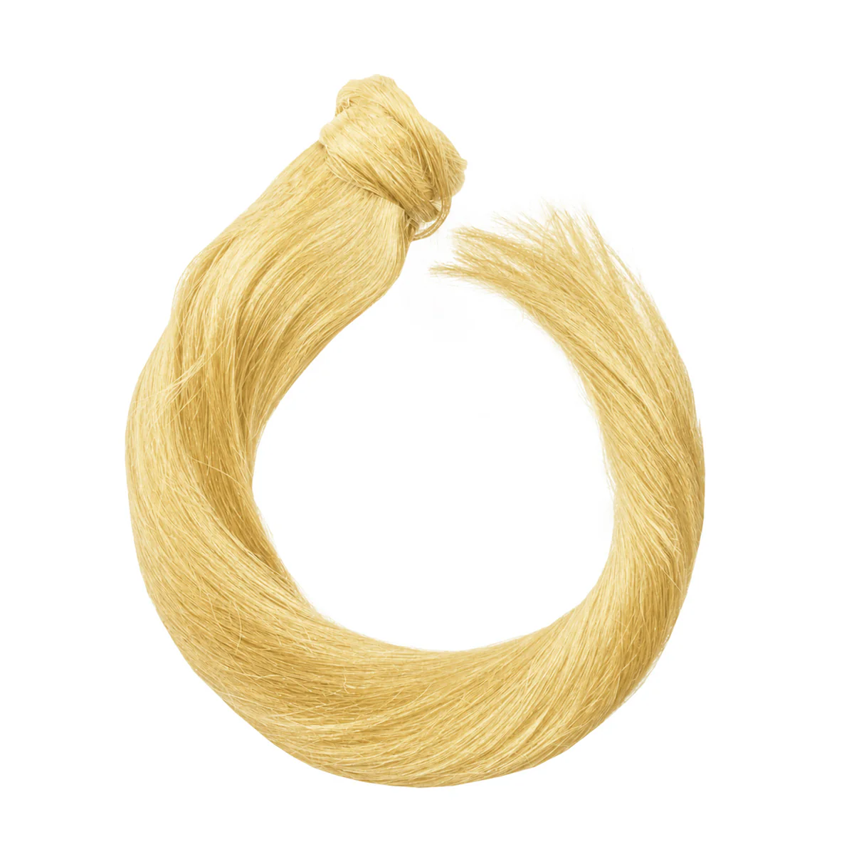 Ponytail - Image 12
