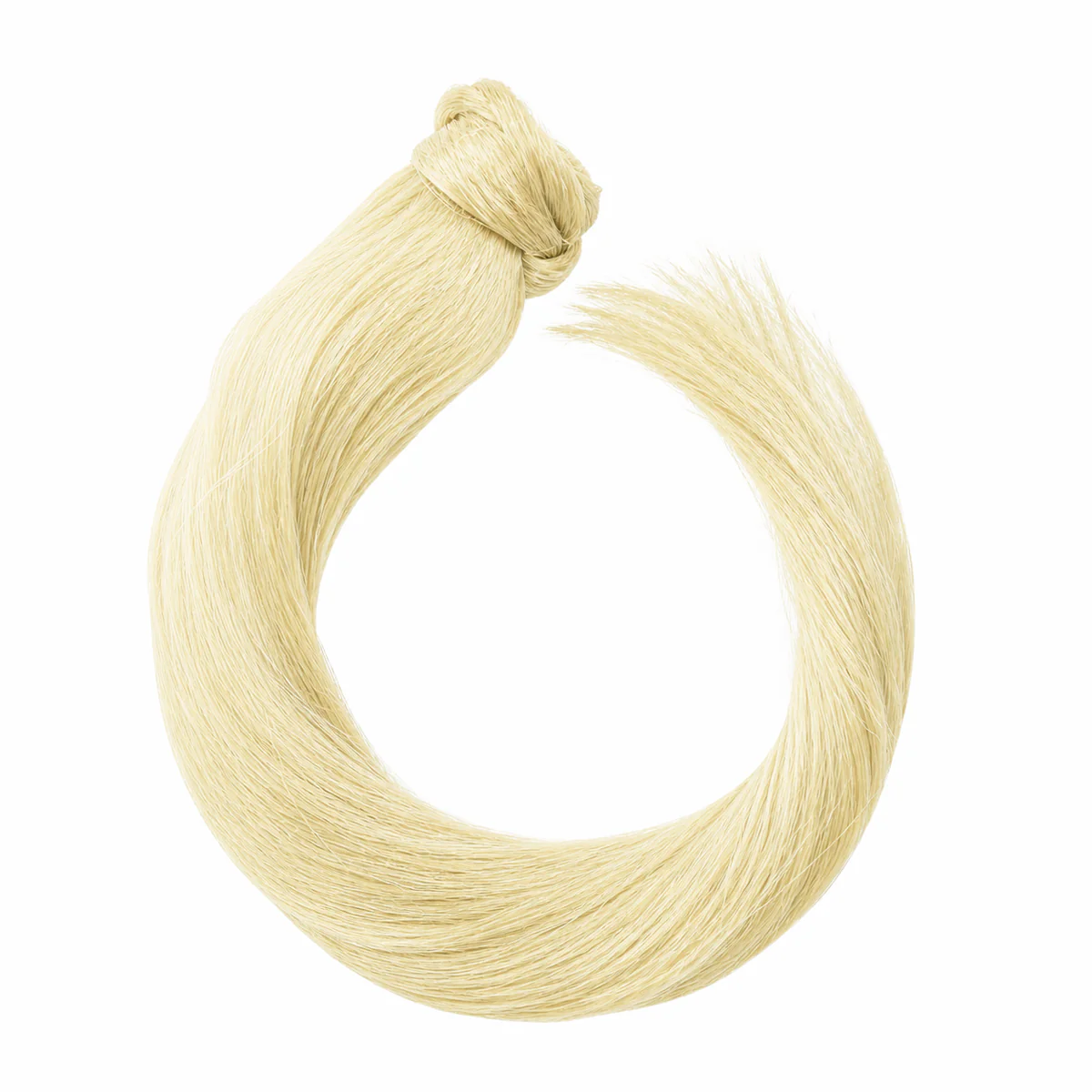 Ponytail - Image 13