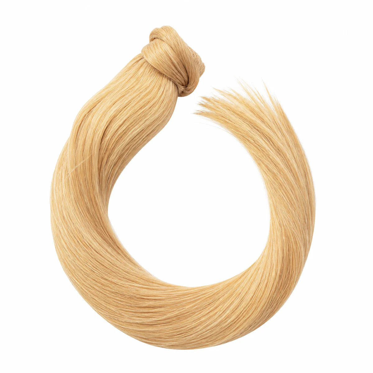Ponytail - Image 4