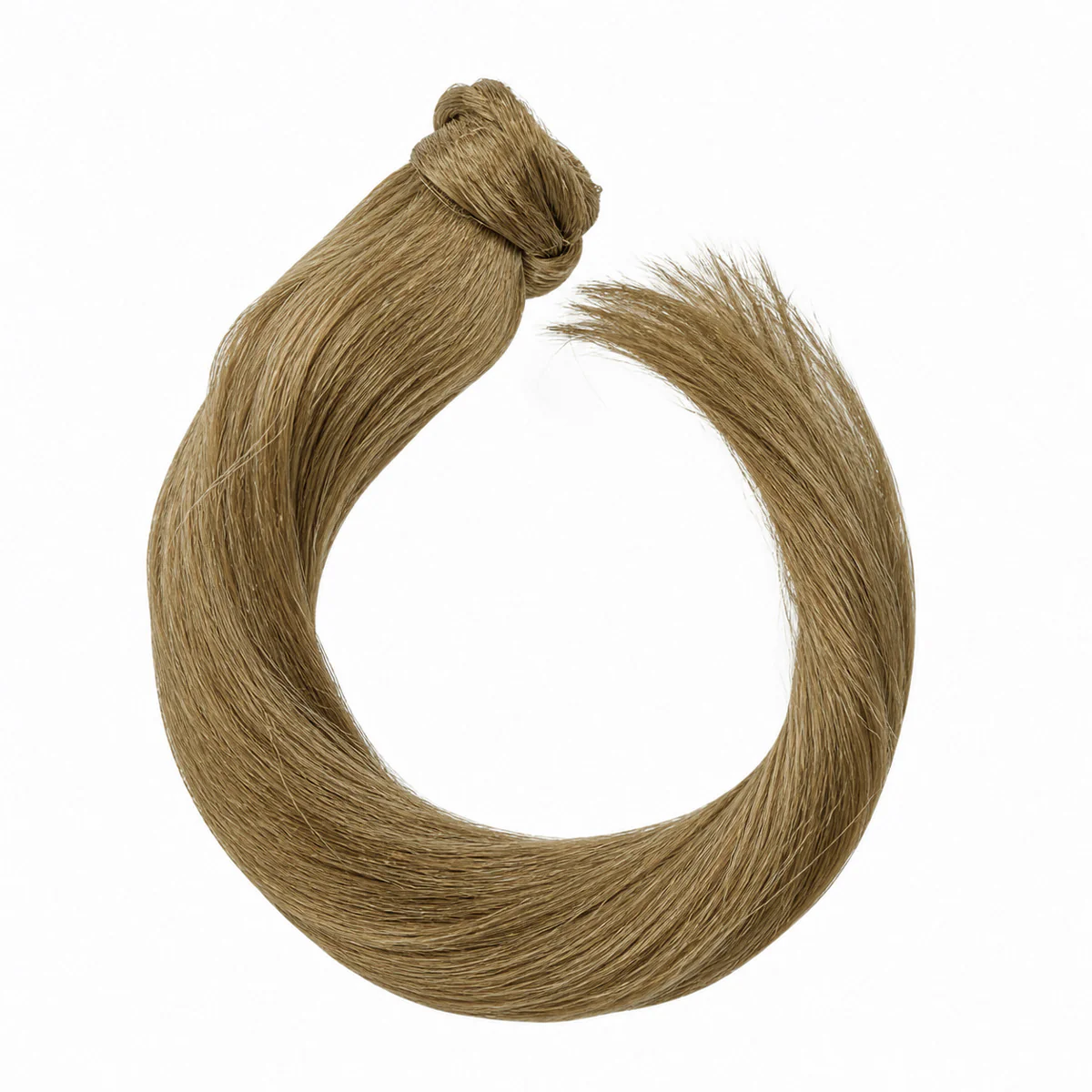 Ponytail - Image 45